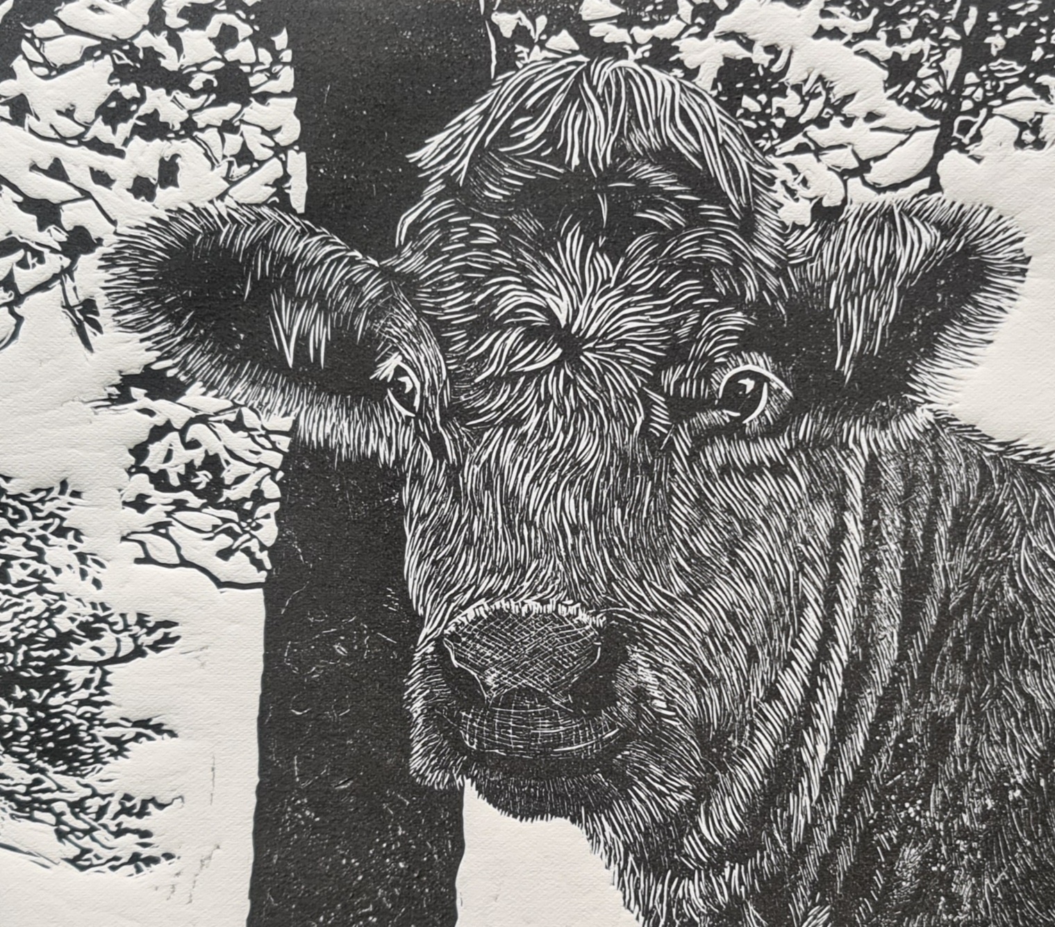 Printmaking Courses May 2023 - Custom House Studios and Gallery